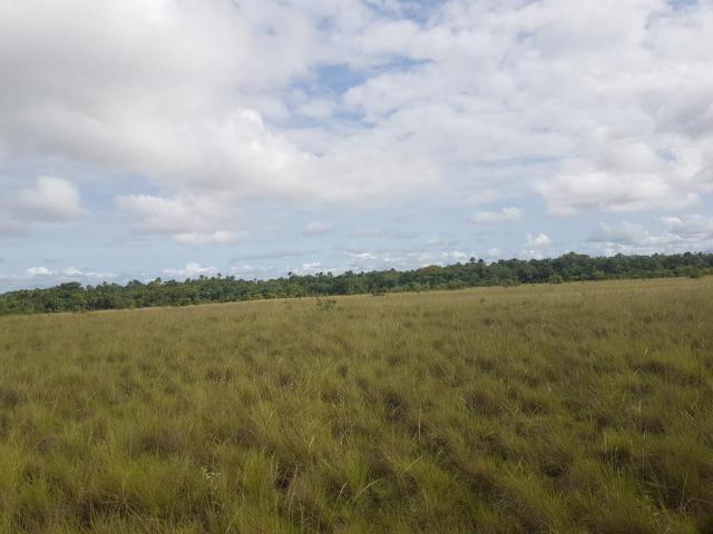 Finca En Venta En Puerto Carreno En Puerto Carreno V276525