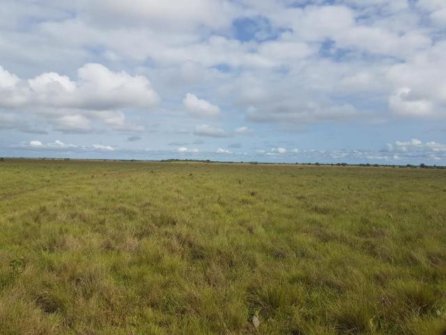 Finca En Venta En Puerto Carreno En Puerto Carreno V276525