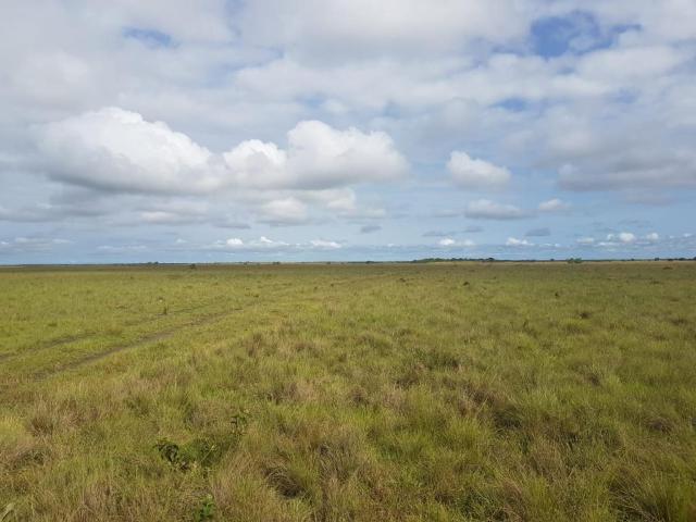 Finca En Venta En Puerto Carreno En Puerto Carreno V276525