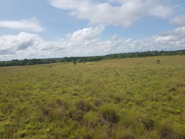 Finca En Venta En Puerto Carreno En Puerto Carreno V276525