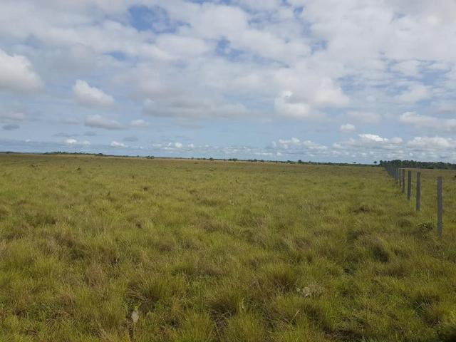 Finca En Venta En Puerto Carreno En Puerto Carreno V276525