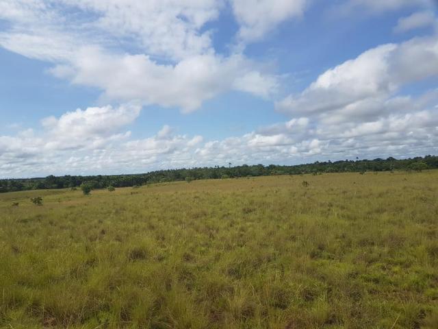 Finca En Venta En Puerto Carreno En Puerto Carreno V276525