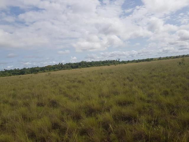 Finca En Venta En Puerto Carreno En Puerto Carreno V276525