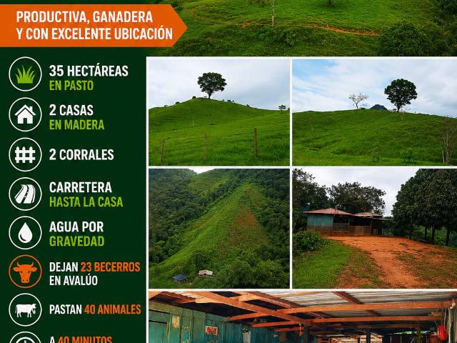 Finca en venta en Caquetá