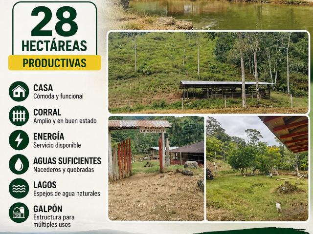 Finca en venta en Caquetá