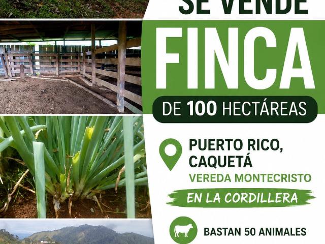 Finca en venta en Caquetá
