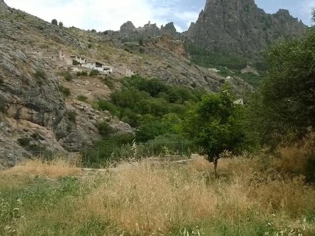 Finca en venta en Casas de Mendoreja, Quesada
