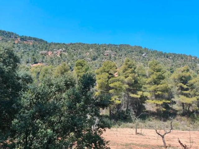 Finca en venta en Matarraña / Matarranya, Ráfales
