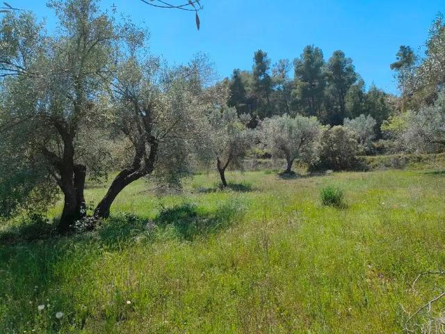 Finca en venta en Matarraña / Matarranya, Ráfales