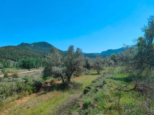 Finca en venta en Matarraña / Matarranya, Ráfales