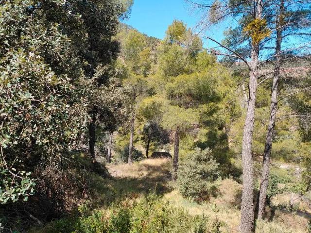 Finca en venta en Matarraña / Matarranya, Ráfales