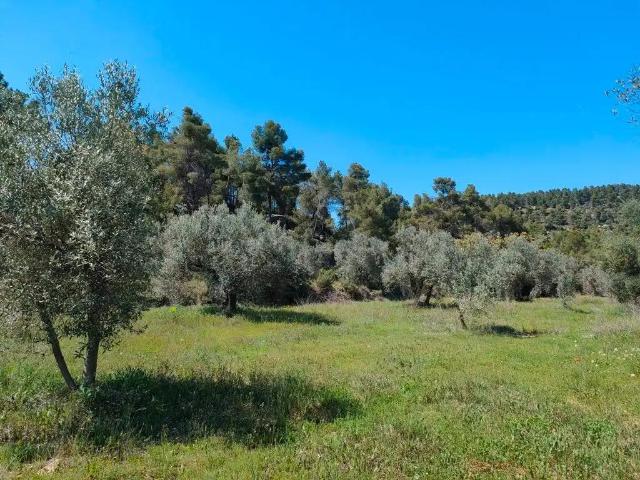 Finca en venta en Matarraña / Matarranya, Ráfales