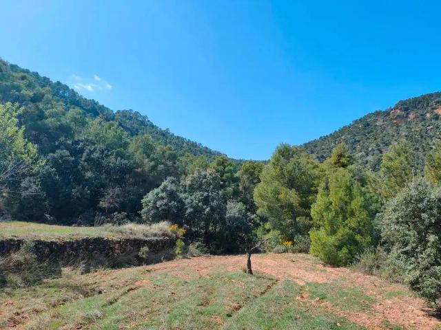 Finca en venta en Matarraña / Matarranya, Ráfales