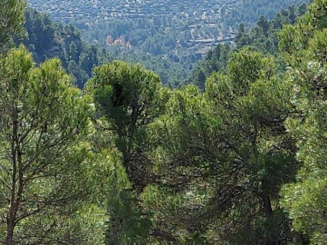 Finca en venta en Matarraña / Matarranya, Ráfales