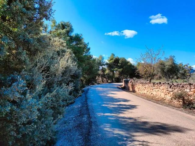 Finca en venta en Matarraña / Matarranya, Ráfales