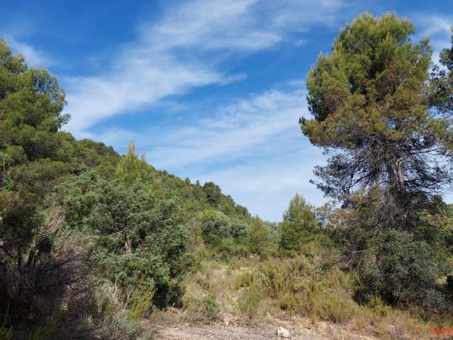 Finca en venta en Matarraña / Matarranya, Ráfales