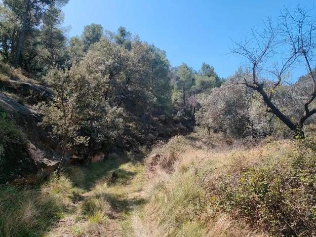 Finca en venta en Matarraña / Matarranya, Ráfales