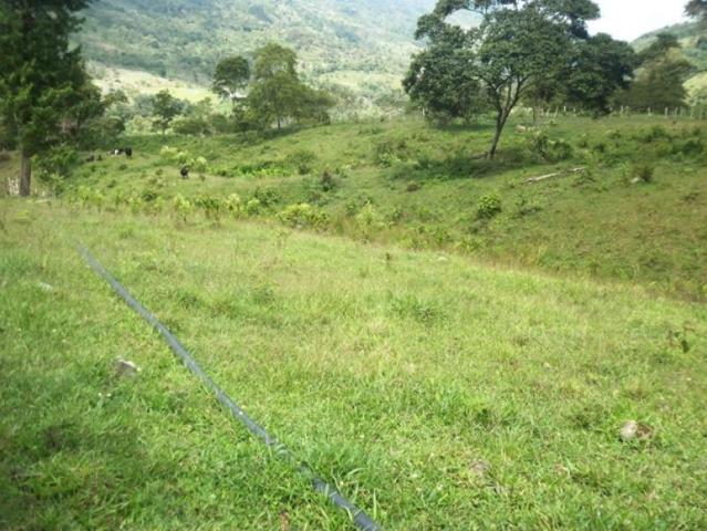 Finca en venta en Ragonvalia, Norte De Santander