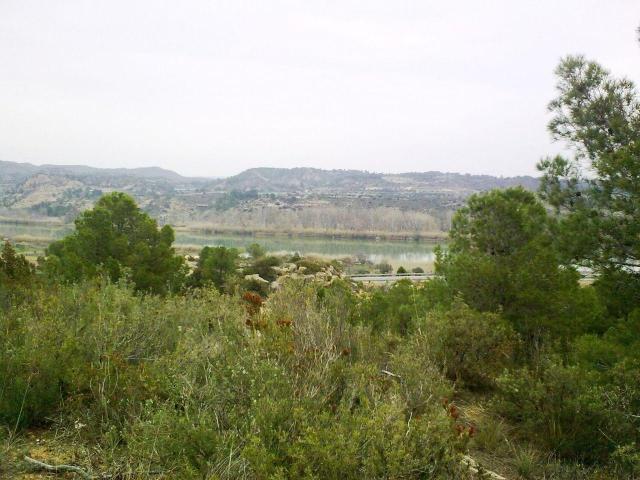 Finca en venta en Ribera d'Ebre, Catalunya
