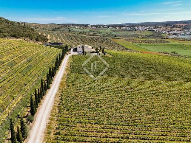 Finca en venta en Ronda