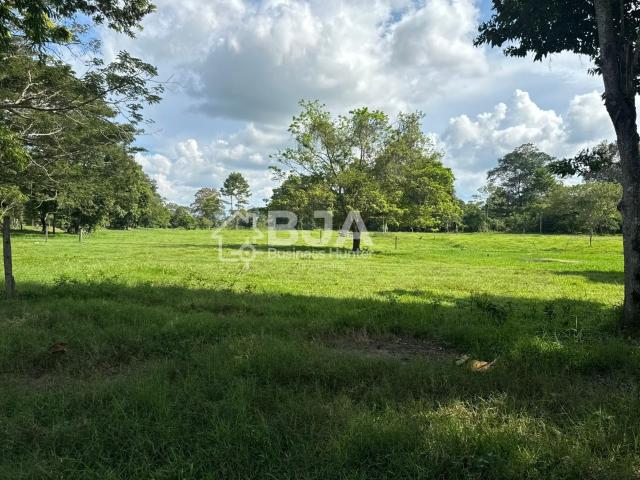 Finca en venta en Santander