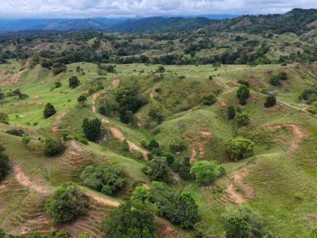 Finca en venta en San Alberto, Cesar