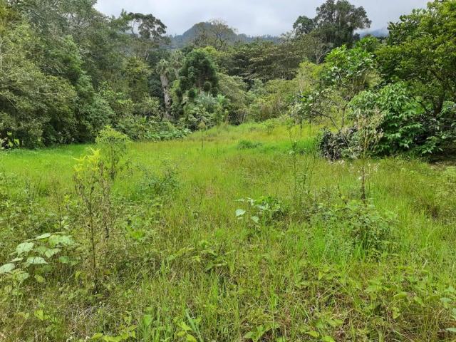 Finca En Venta En San Antonio Del Tequendama En Bellavista V264499