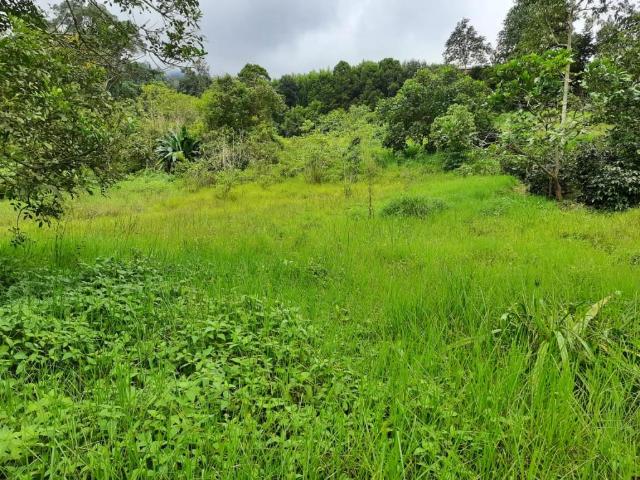 Finca En Venta En San Antonio Del Tequendama En Bellavista V264499