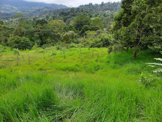 Finca En Venta En San Antonio Del Tequendama En Bellavista V264499
