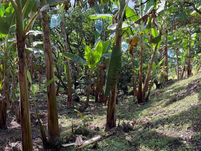 Finca en venta en Caldas, Pensilvania