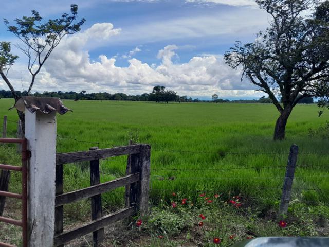 Finca en venta en San Martín, Meta