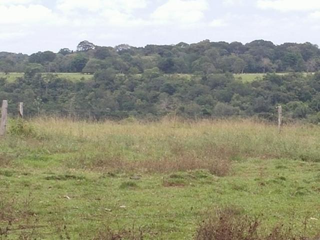 Finca En Venta En San Martin En San Martin Vereda Aribas V222460