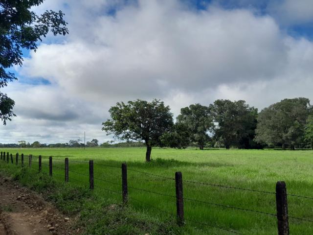 Finca En Venta En San Martin En San Martin Vereda Aribas V222460