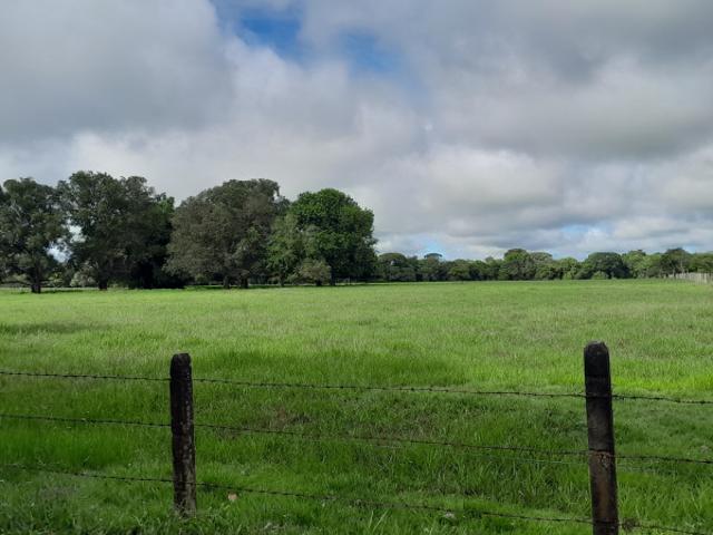 Finca En Venta En San Martin En San Martin Vereda Aribas V222460