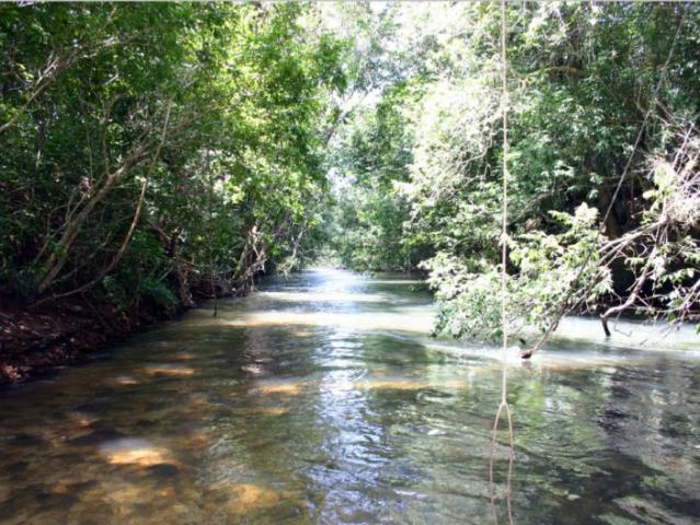 Finca En Venta En San Martin En San Martin Vereda Aribas V222460