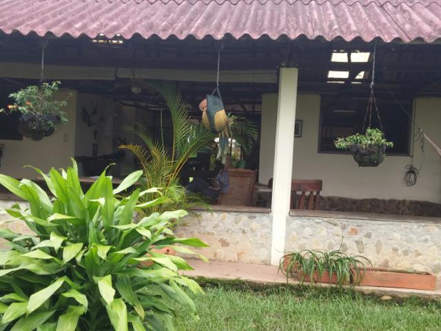 Finca En Venta En San Martin En San Martin Vereda Aribas V222460