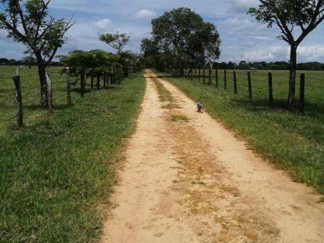 Finca En Venta En San Martin En San Martin Vereda Aribas V222460