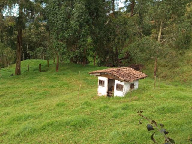 Finca en venta en Antioquia, Bajo Cauca