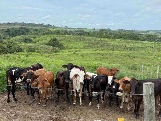 Finca en venta en La Macarena, Meta