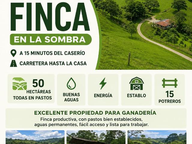 Finca en venta en La Macarena, Meta
