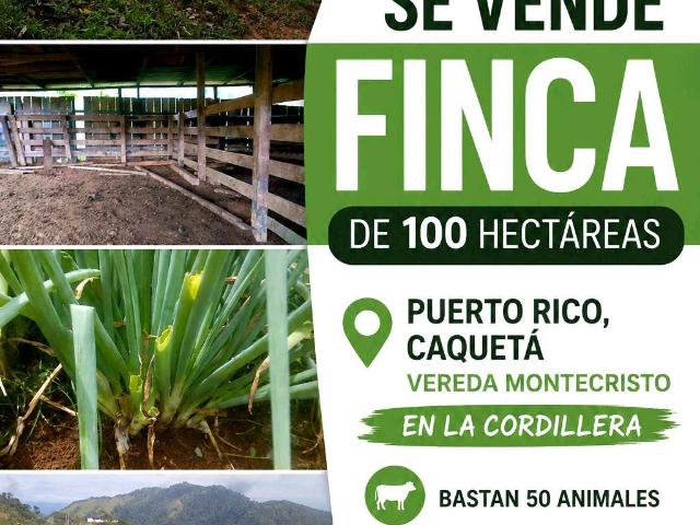 Finca en venta en San Vicente Del Caguán, Caquetá