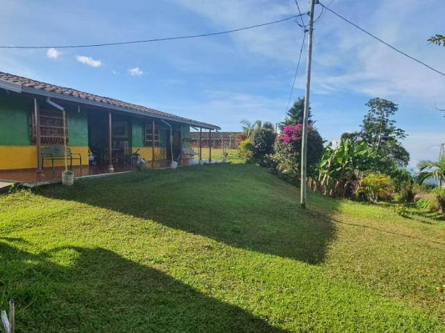 Finca En Venta En Santa Barbara En. V229068