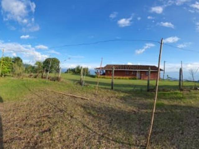 Finca En Venta En Santa Barbara En. V229068