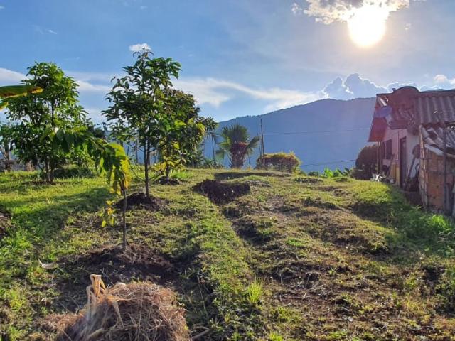 Finca En Venta En Santa Barbara En. V229068