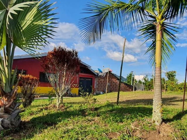 Finca En Venta En Santa Barbara En. V229068