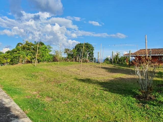 Finca En Venta En Santa Barbara En. V229068