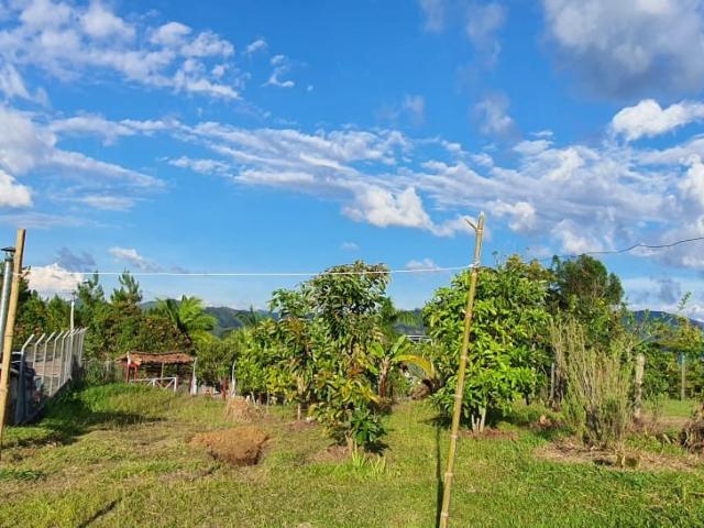 Finca En Venta En Santa Barbara En. V229068