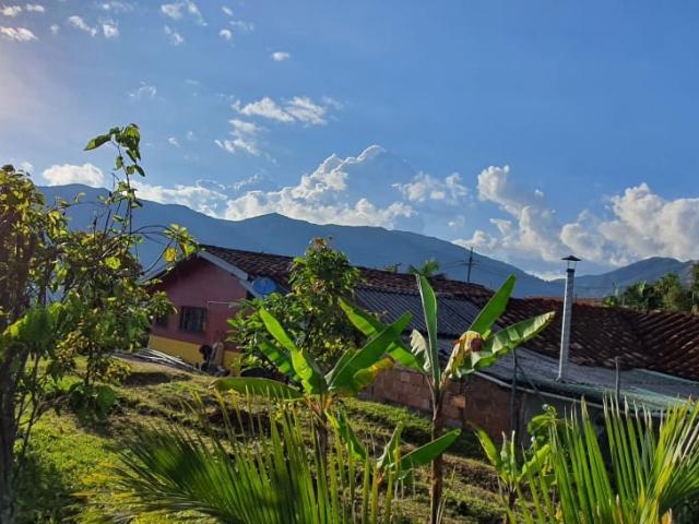 Finca En Venta En Santa Barbara En. V229068