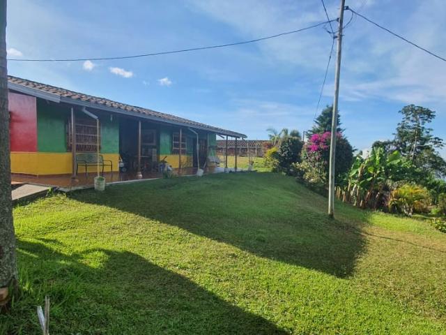 Finca En Venta En Santa Barbara En. V229068