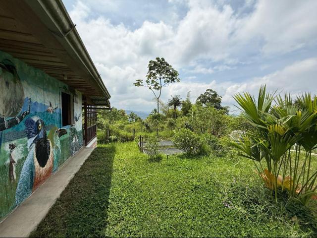 Finca En Venta En Santa Rosa De Cabal En Las Mangas, Santa Rosa V359899